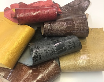 Ostrich Leg Red Beige Grey Tan Gold  Chocolate Ostrich Legs Genuine Leather