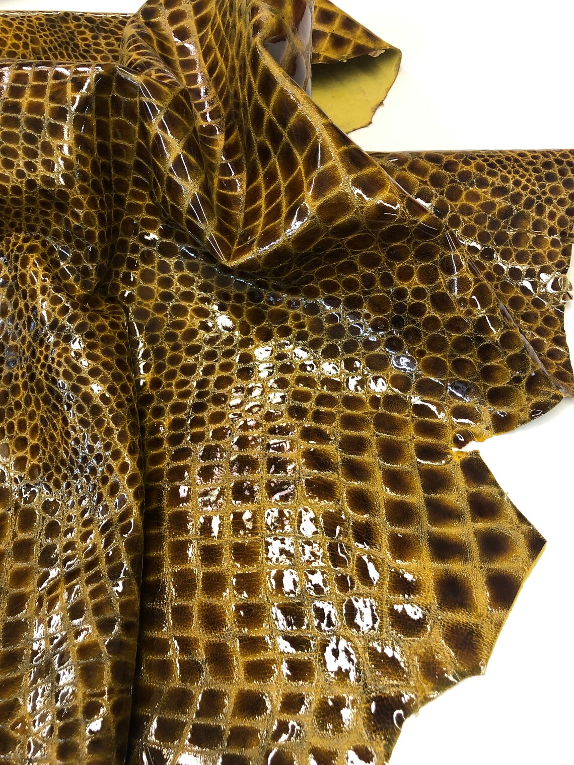 alligator and crocodile leather