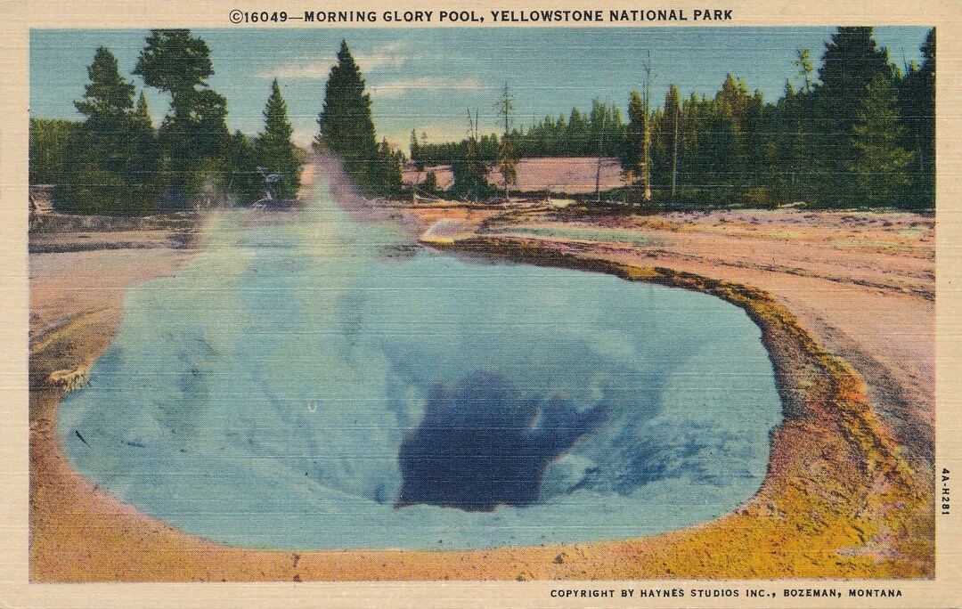 MORNING GLORY POOL, Yellowstone National Park. Haynes Linen