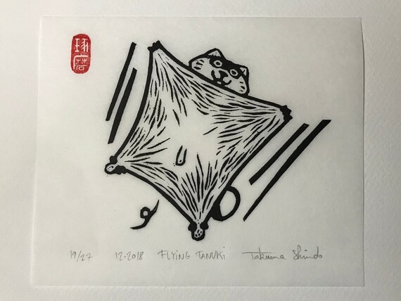 tanuki flying
