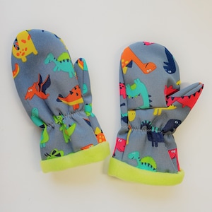May include: A pair of gray fleece-lined mittens with a dinosaur print. The mittens have a green trim around the cuff.