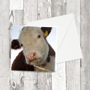 Cartes de vœux - 'Who Me?' - Image photographique carrée
