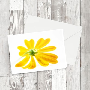 Biglietti d'auguri - 'Fallen Yellow Daisy' - Immagine fotografica floreale rettangolare con o senza etichetta regalo abbinata