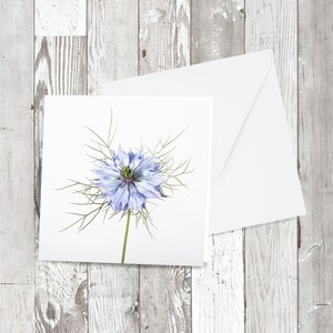 Grußkarte - 'Love in a Mist' Square Floral Photographic Bild
