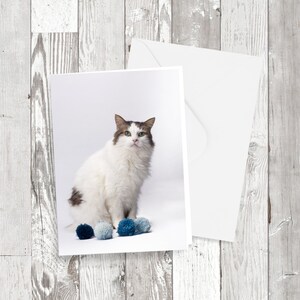 Kartka z pozdrowieniami, „Pom poms Lottie”, uroczy fotograficzny obraz kota