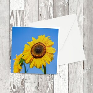 Carte de vœux d’un 'Tournesol' lumineux, Image photographique