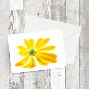 Grußkarte - 'Gefallene Gelbe Daisy' - Rechteckiges Blumenfotografisches Bild Sekundenqualität