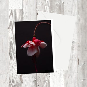 Grußkarte - 'Tiny Dancer' - Rechteckiges Blumenfotografisches Bild