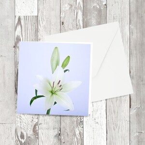 Biglietto di auguri - 'Lily' Square Immagine fotografica floreale