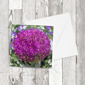 Wenskaart - 'Allium' Square Floral Photographic image