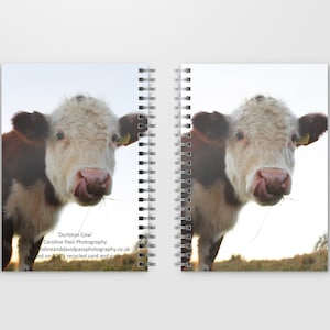 A5 または A6 スパイラル綴じノート、ジャーナル「Durlston Cow」の写真画像