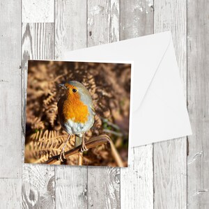 Cartão Robin Greetings, de um 'Robin at Arne', em cartão reciclado