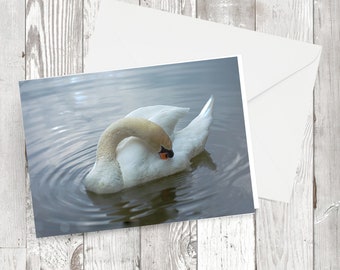 Greetings card - 'Swan on the River Stour' - rectangular Photographic image