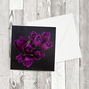 Biglietto di auguri di 'Purple Tulips' Immagine fotografica