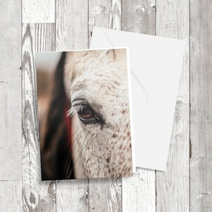 Wenskaart - 'Het oog van de toeschouwer' - rechthoekig Fotografisch Paard beeld