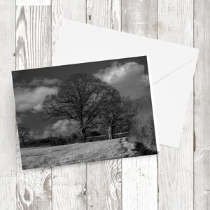 Carte de vœux - 'Aucun signe de printemps' - Paysage rectangulaire Image photographique Carte recyclée