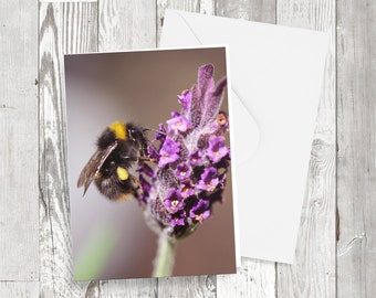 Greetings card - 'Bee on Lavender' - rectangular Photographic image