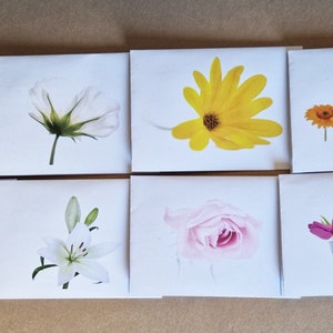 8 Notelets e Envelopes 'Florais' em Papel Reciclado com Envelopes Reciclados