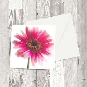 Grußkarte - 'Pink Gerbera' Quadratisches Blumen Fotografisches Bild
