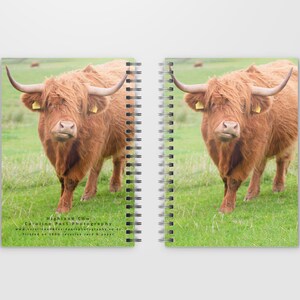 A5 または A6 スパイラル綴じノート、ジャーナル「ハイランド牛」の写真画像