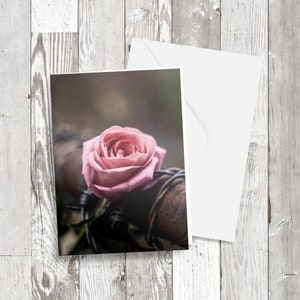 Cartão de felicitações - 'Rosa em um arame' Imagem fotográfica Cartão reciclado
