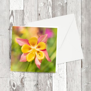 Grußkarte - 'Aquilegia skinneri' mexikanische Akelei - quadratisches Blumenfotografisches Bild