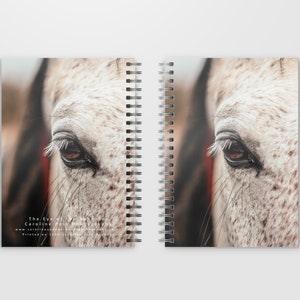 Carnet relié en spirale A5 ou A6, image photographique du journal 'The Eye of the Beholder'