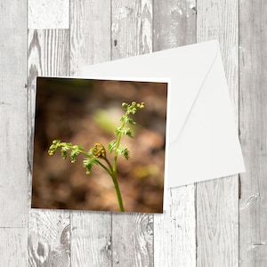 Carte de vœux, 'Heart of New Life', Square Floral Image photographique