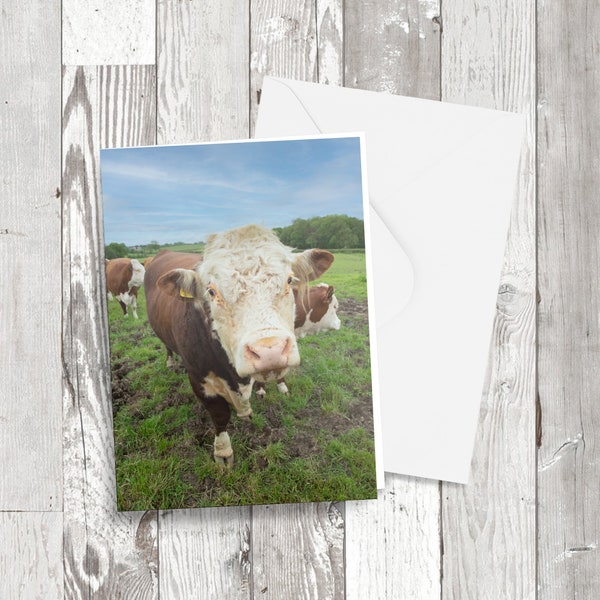 Greetings card - 'Rocco the Bull, Photographic image on Recycled card