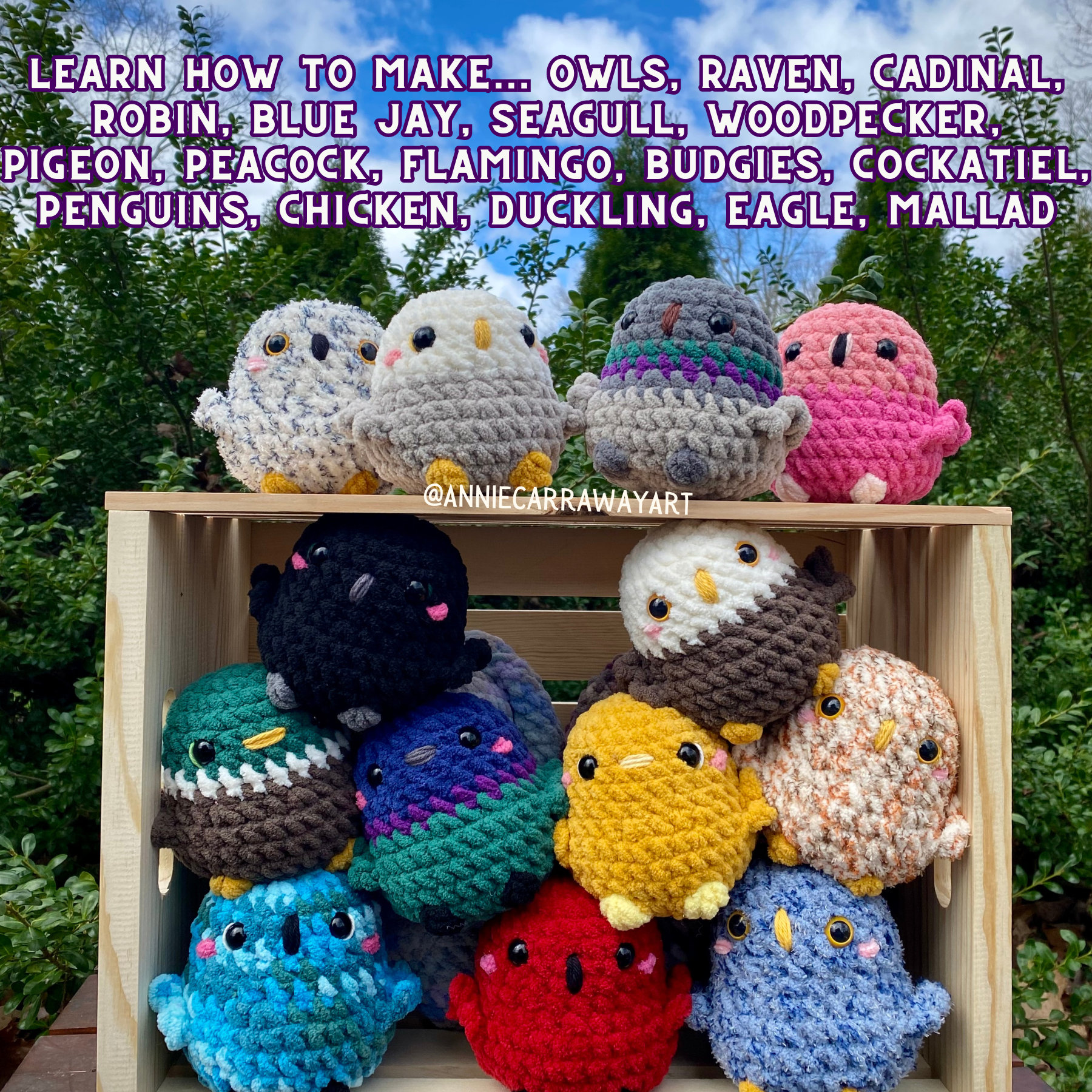 Bird Crochet Pattern | Little Birdie Plushies | 20 in 1 Pattern