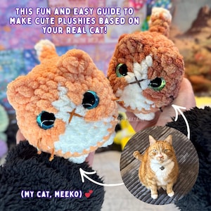 May include: Two handmade orange and white cat plushies with large, glittery eyes are held up, with a photo of a real cat below. The text reads, "THIS FUN AND EASY GUIDE TO MAKE CUTE PLUSHIES BASED ON YOUR REAL CAT!" and "(MY CAT, MEEKO)"