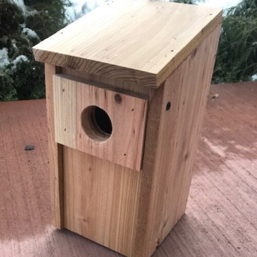 Bluebird House Nest Box Etsy
