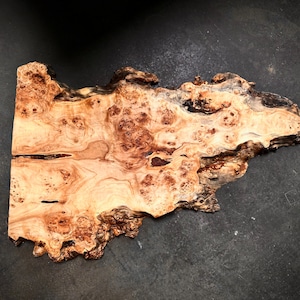 Uniek tafelblad van wortelpopulier 100 x 50 x 4 cm geolied