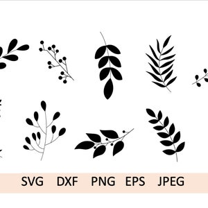 10 Leaves SVG PNG Botanical Design Bundle w/ Eps and JPEG Files