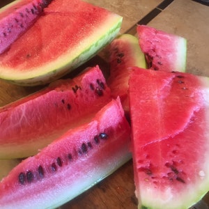 Sweet Seeded Watermelon, 25 Seeds. The earliest-ripening variety. Non-GMO.