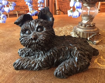 Yorkie Puppy