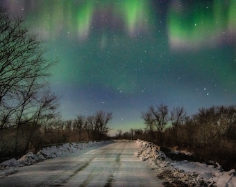 Night Sky_Photography_Photographic print of Northern Lights along a Snowy Trail in Manitoba Canada
