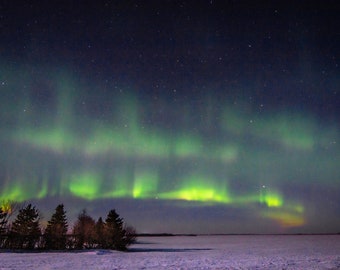 Night Sky_Photography_Photographic print of Northern Lights along a Snowy Trail in Manitoba Canada