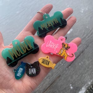 Aangepaste hondenpenningen