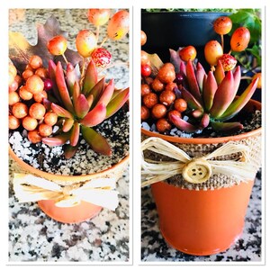 succulent fall arrangements image 4