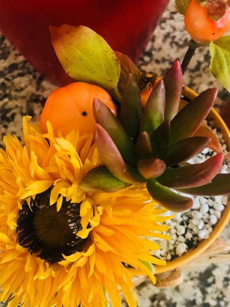 succulent fall arrangements image 5