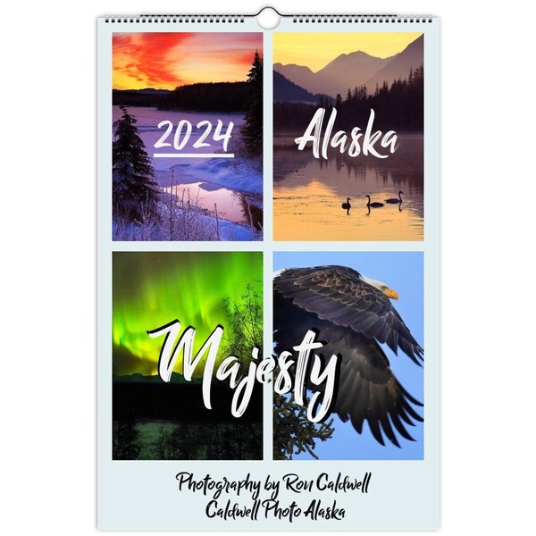 2024 Bald Eagle Wall Calendar Etsy