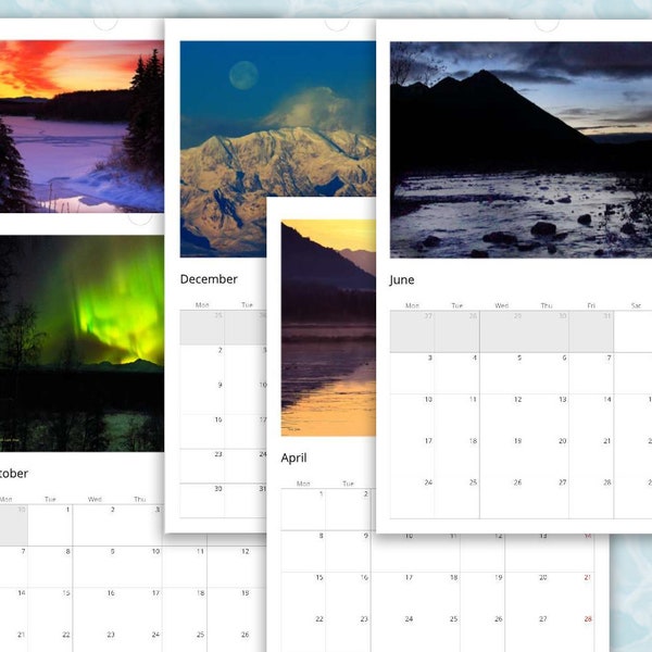 2024 Bald Eagle Wall Calendar Etsy