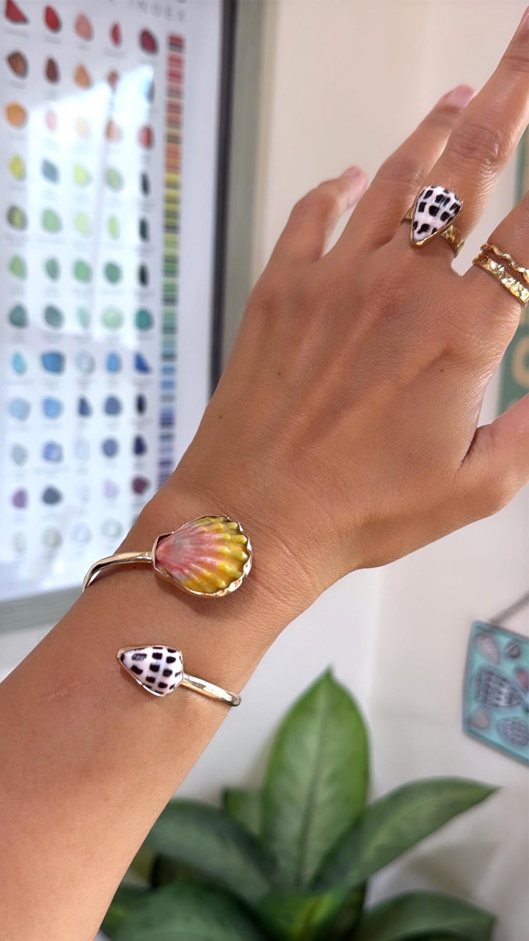 Shell Cuff Hawaii Sunrise Shell With Hebrew Shell Twisted Cuff/14k Gold Filled ...