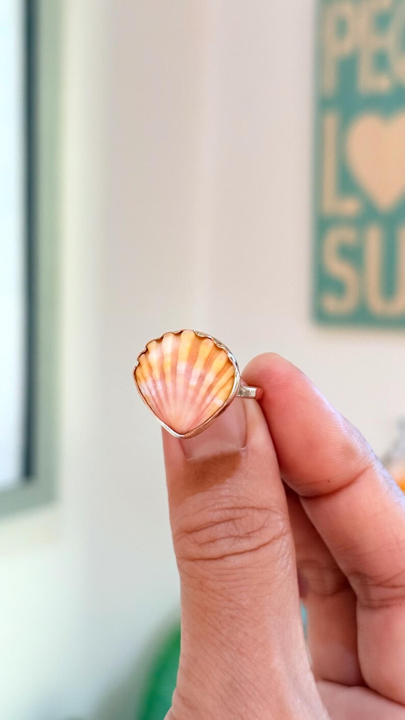 Beautiful Soft Colors Small Hawaiian Sunrise Shell Ring/14k Gold Filled ...