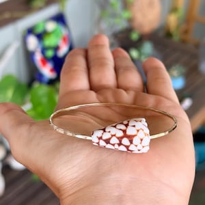 May include: A thin, hammered gold-tone metal bangle bracelet featuring a single cone-shaped seashell as a central focal point. The seashell has a white base color with a distinct pattern of dark brown, irregular, triangular-shaped spots.