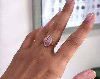 Solander's Trivia Shell Ring/14K Gold Filled/Size 7 Resize 7.5