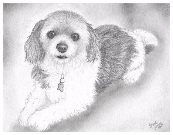 Original Custom Hand Drawing From Photo Pet Portrait Pencil Graphite Dog Gift Ideas