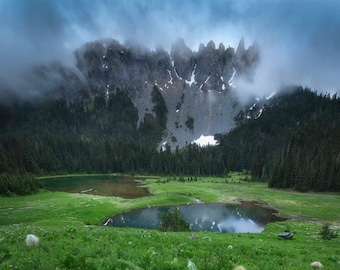 Mt. Rainier Forest Print | Owyhigh Lakes, Pacific Northwest Wall Art