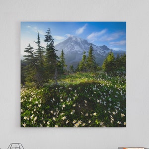 Mt Rainier Wildflowers Photo | Print, Canvas | Wall Art | Pacific Northwest Photography | Home Decor, Gift | Nature, National Park, Flowers
